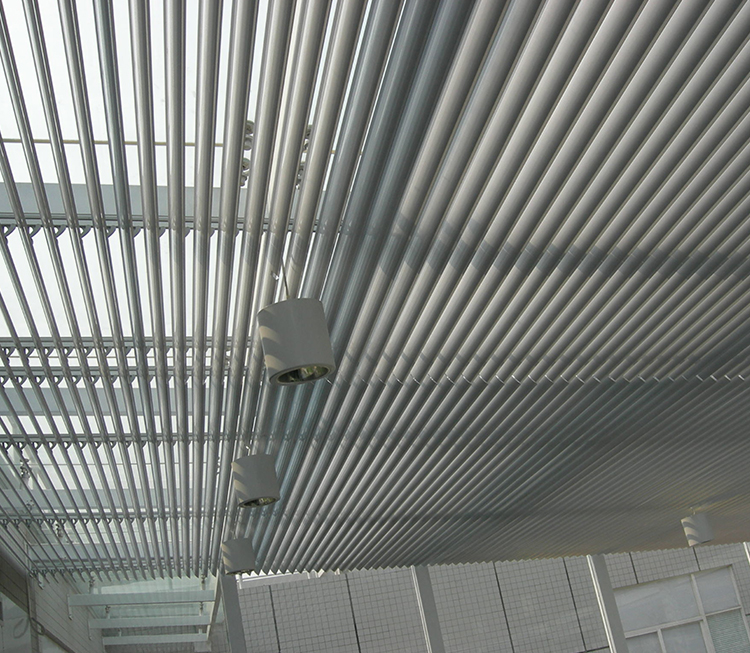 歐式好色先生TV版下载