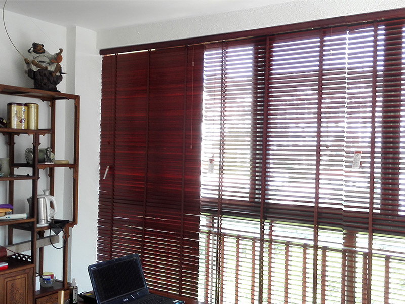 電動好色先生TV版下载