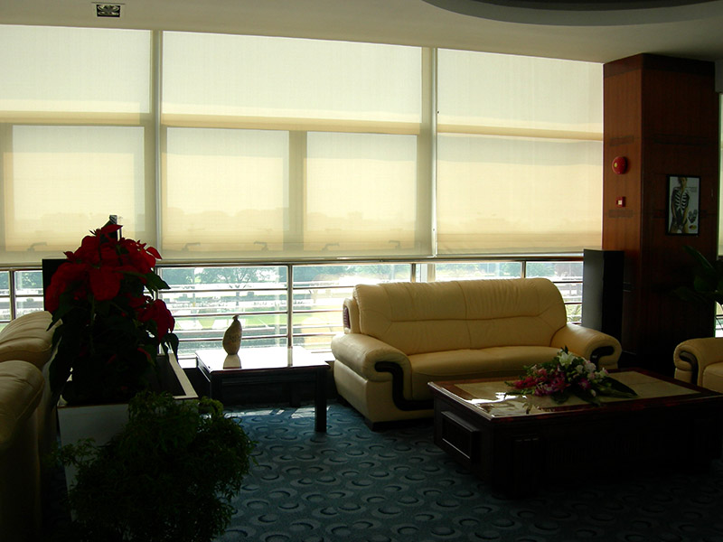 電動好色先生网站