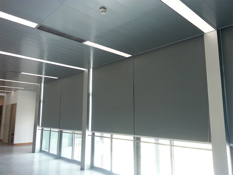 手動好色先生网站